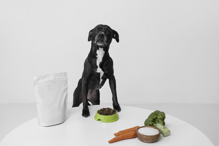 Bom pra cachorro”: alta da ração muda consumo e impulsiona alimentação fresca